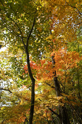 DSC01501.jpg