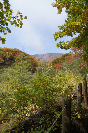 DSC01510.jpg