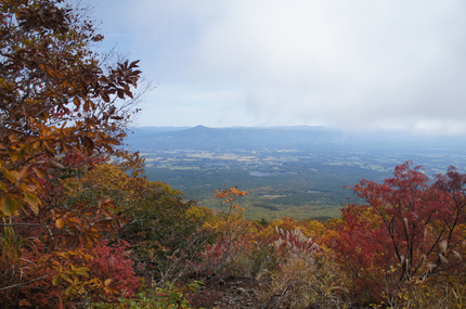 DSC01531.jpg