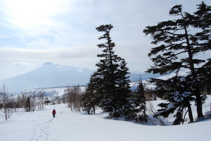 樹氷の骨