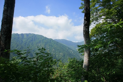 粟畑