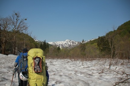 IMG_2920.jpg