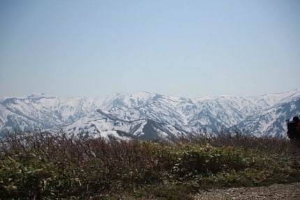 IMG_3005.jpg