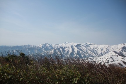 IMG_3121.jpg