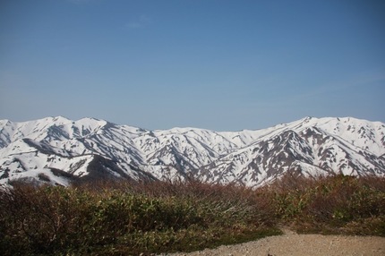 IMG_3122.jpg