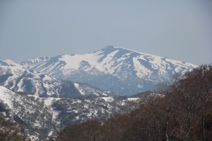 IMG_3253.jpg