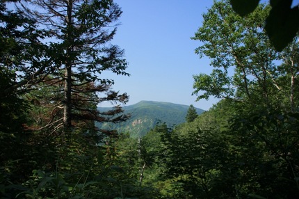 IMG_3724.jpg