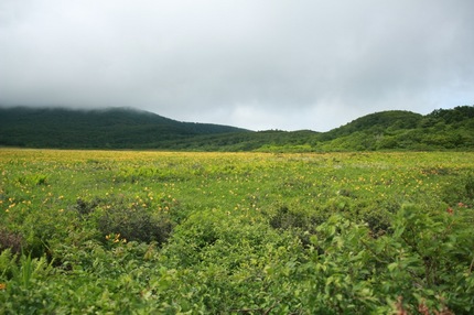 IMG_4227.jpg