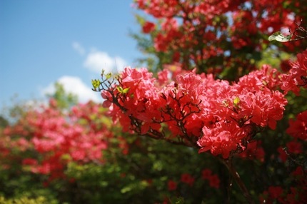 IMG_4306.jpg