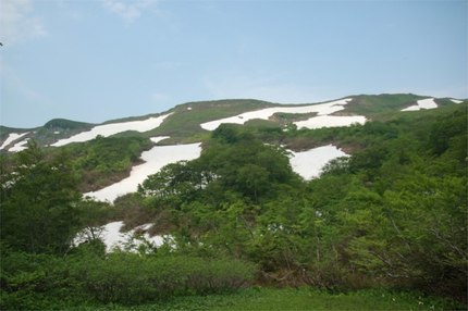 IMG_5322.jpg