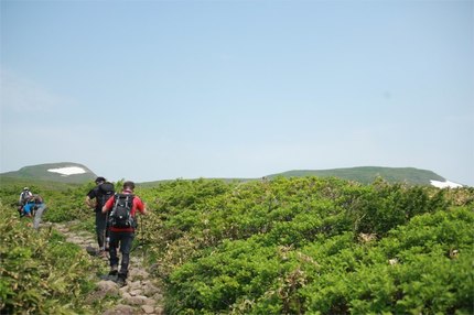 IMG_5367.jpg
