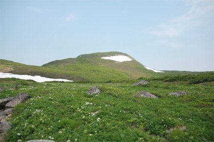 IMG_5376.jpg