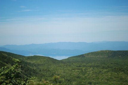 IMG_5652.jpeg