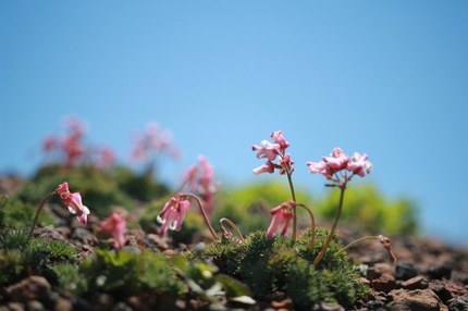 IMG_5669.jpeg