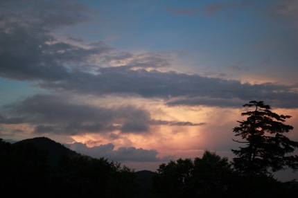 IMG_6384.jpg