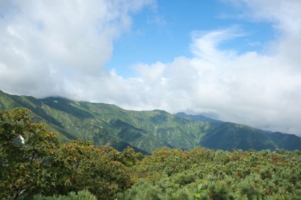 IMG_6451.jpg