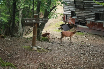 IMG_6546.jpg