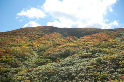 IMG_6714.jpg