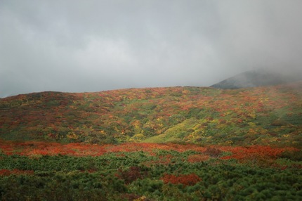 IMG_7075.jpg