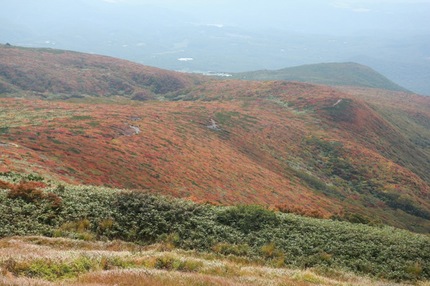 IMG_7185.jpg
