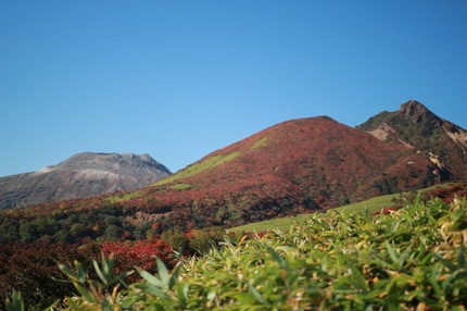 IMG_7473.jpg
