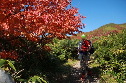 IMG_7486.jpg