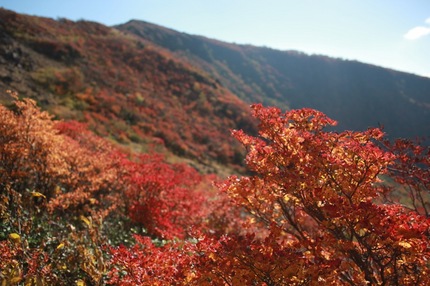 IMG_7774.jpg