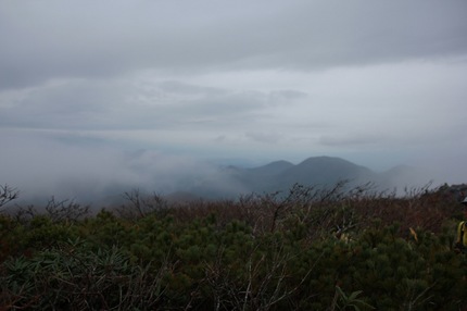 IMG_7989.jpg
