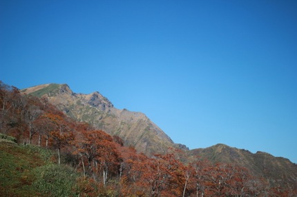 IMG_8272.jpg
