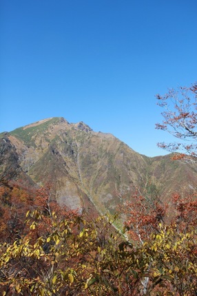 IMG_8279.jpg