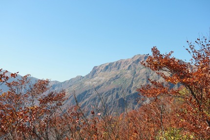 IMG_8283.jpg