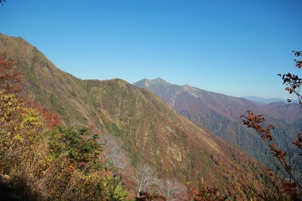 IMG_8295.jpg