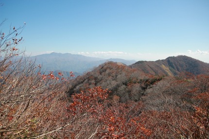 IMG_8304.jpg