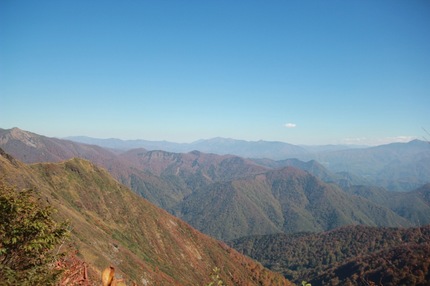 IMG_8311.jpg