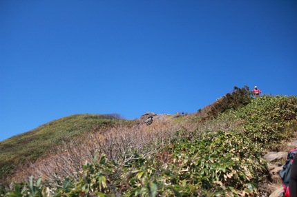 IMG_8329.jpg