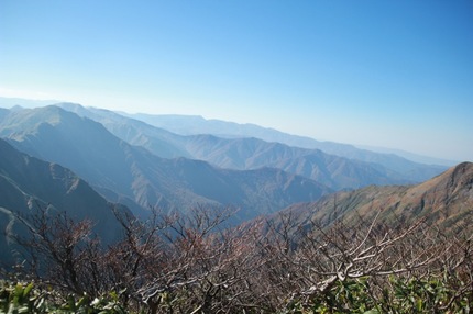 IMG_8389.jpg