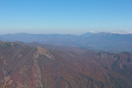 IMG_8401.jpg