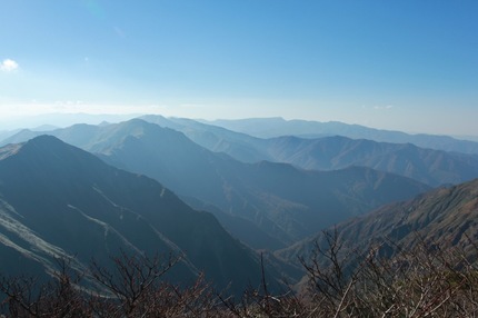IMG_8419.jpg