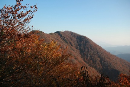 IMG_8493.jpg